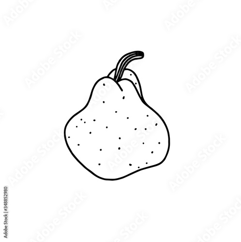 Isolated pear on a white background. Fruit pear. Vector illustration in the Doodle style.