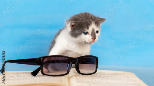 Small kitten near an open book and goggles
