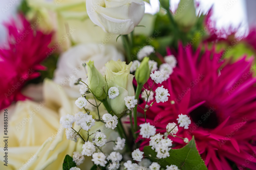 A closeup view of a bouquet with white roses, pink aster alpinus, and green spider mum flowers A closeup view of a bouquet with white roses, pink aster alpinus, and green spider mum flowers