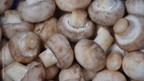 Freshly picked champignons. Background with mushrooms. Close-up