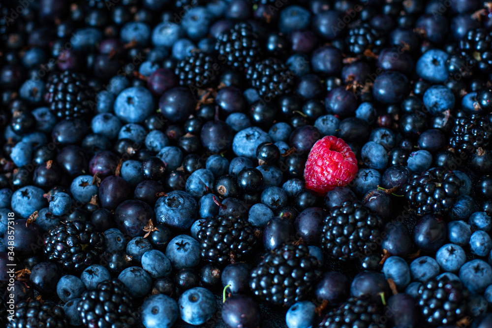 Uniqueness concept. Not like the others. Red raspberry in a heap mix of black berries of mulberry currant and blueberry Uniqueness concept. Not like the others. Red raspberry in a heap mix of black berries of mulberry currant and blueberry