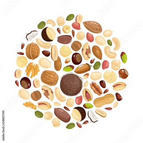 Nuts background. Various nuts in circle form. Peanut, hazelnut and pistachio, cashew and pecan, walnut. Brazil nut and almond vector concept