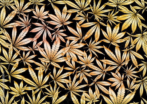 Cannabis leaves seamless pattern, background. Vector illustration in gold colors Isolated on black background.