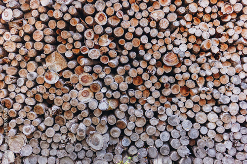 Background texture of stacked split firewood. Material for heating the house. 