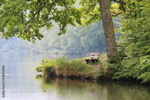 Regentag am Bärensee bei Stuttgart photo