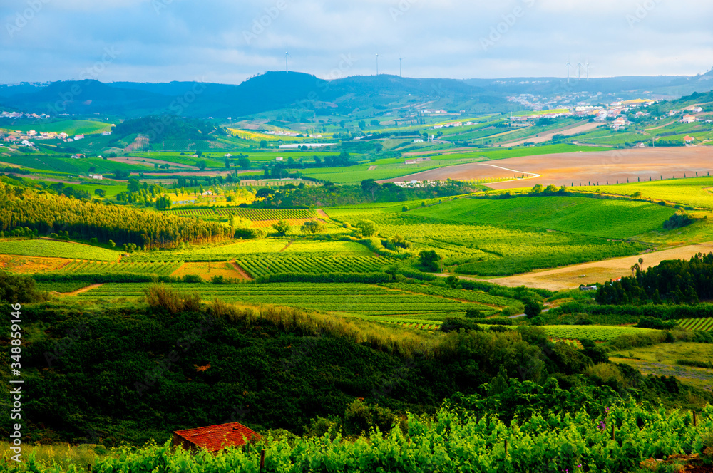 Agricultural Fields in Summer - Portugal
