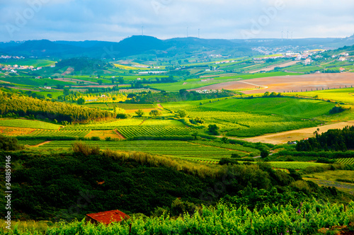 Agricultural Fields in Summer - Portugal