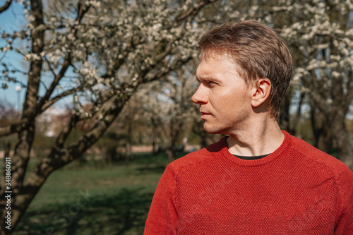 Fototapeta Naklejka Na Ścianę i Meble -  A young blond man in a red sweater walks in an Apple orchard in early spring, a blooming Apple tree with white flowers