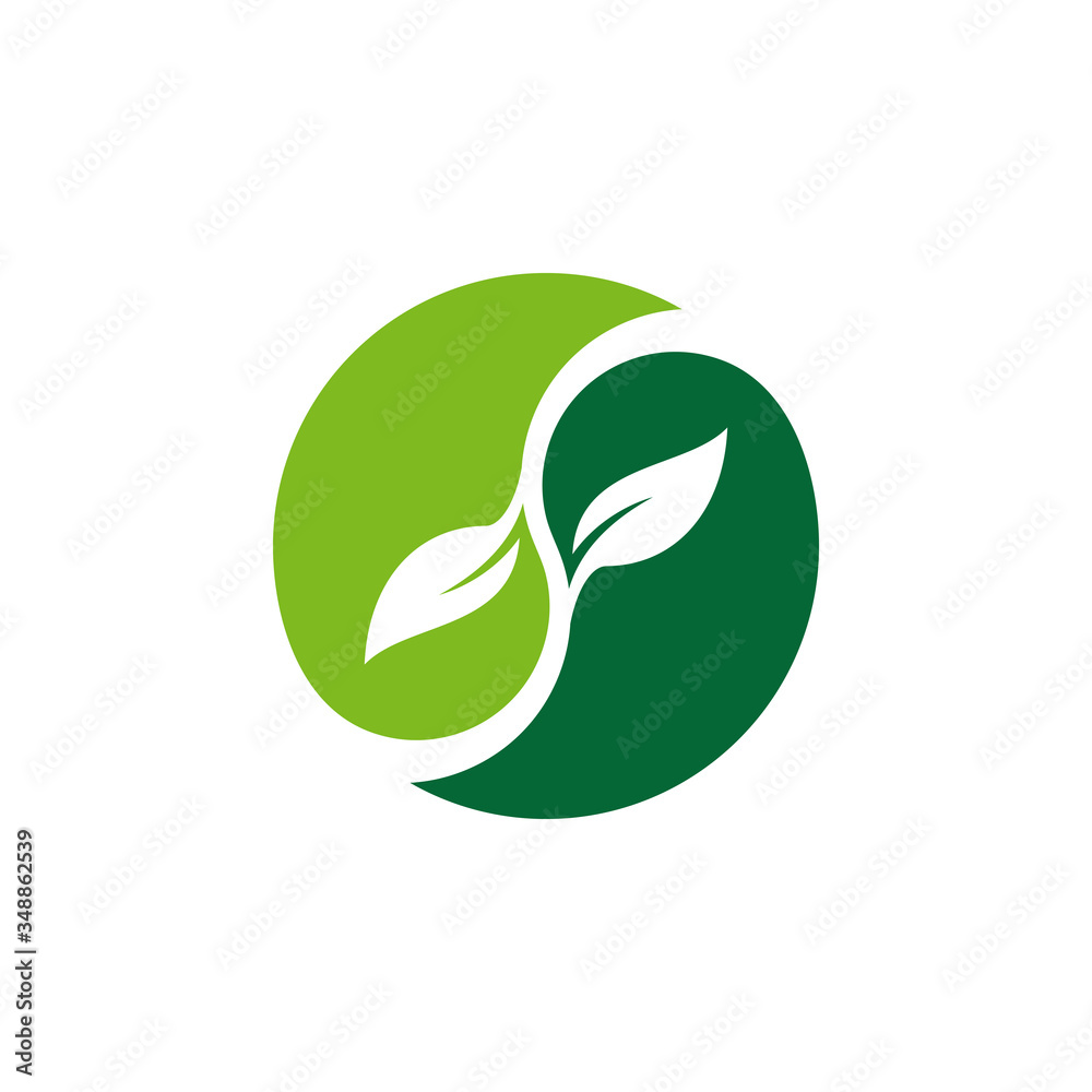 Fototapeta premium Leaf logo vector design template
