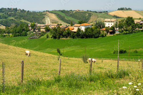 Rural landscape at Rivalta di Lesignano Bagni, Emilia-Romagna photo