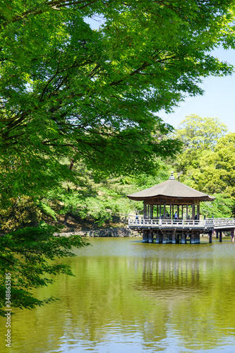 奈良県奈良市「奈良公園 浮見堂」の新緑