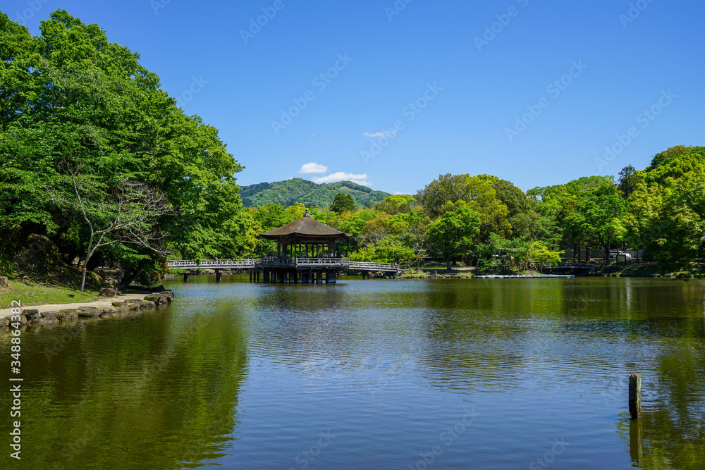 奈良県奈良市「奈良公園 浮見堂の新緑」