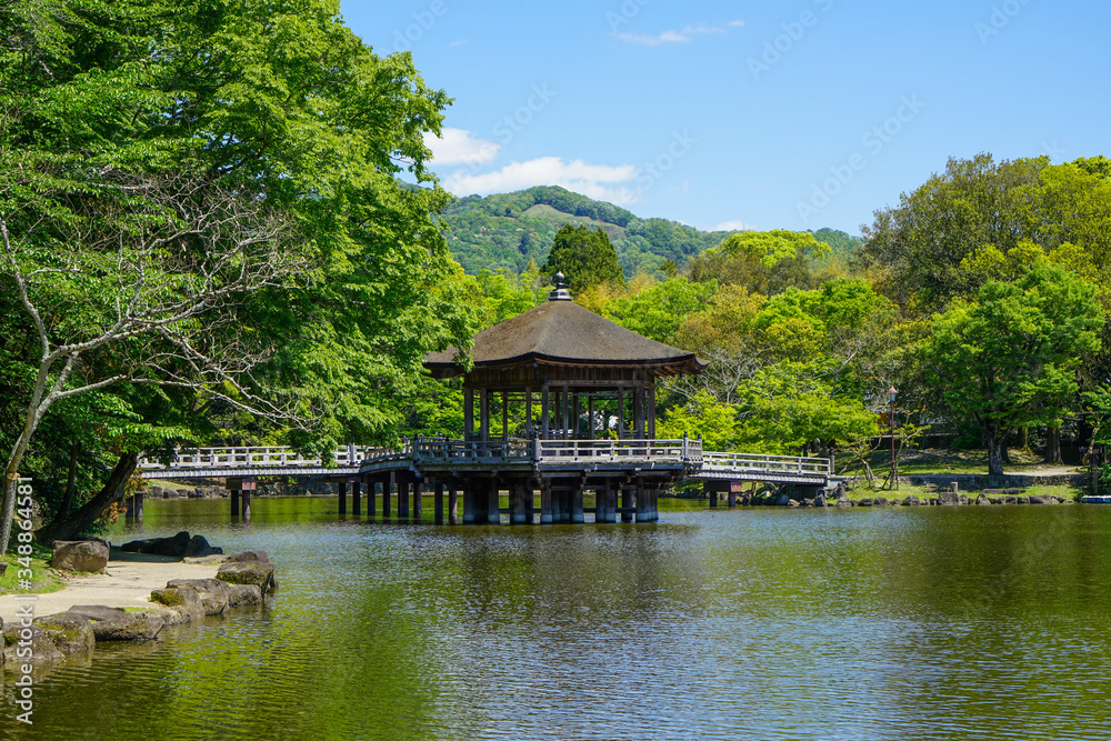 奈良県奈良市「奈良公園 浮見堂の新緑」 奈良県奈良市「奈良公園 浮見堂の新緑」