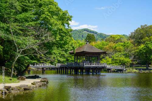 奈良県奈良市「奈良公園 浮見堂の新緑」