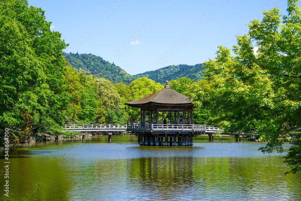 奈良県奈良市「奈良公園 浮見堂の新緑」