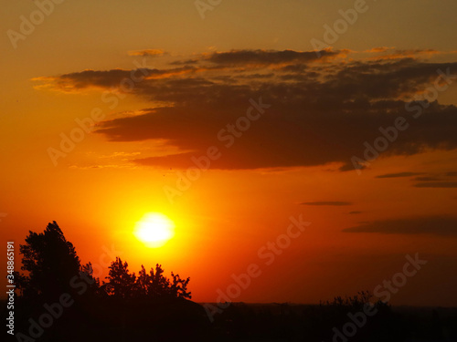 Dark silhouette of trees and cousins against the background of an orange sunset. Evening nature folds to a romantic mood. Warm colors. The region of the temperate climate of the European continent