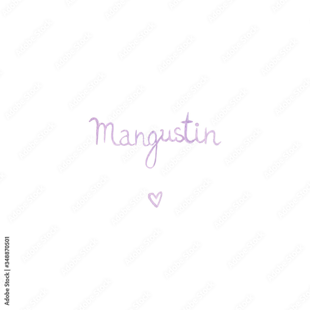 
watercolor illustration - mangosteen. Tender lettering, summer style.