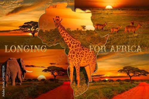 Afrika Sonnenaufgang und Sonnenuntergang mit Elefanten und Giraffen photo