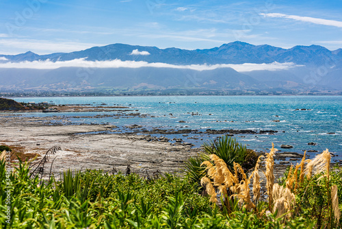 View of the coastline and rocks where the Fur Seals congragate in Kaikoura, New Zealand