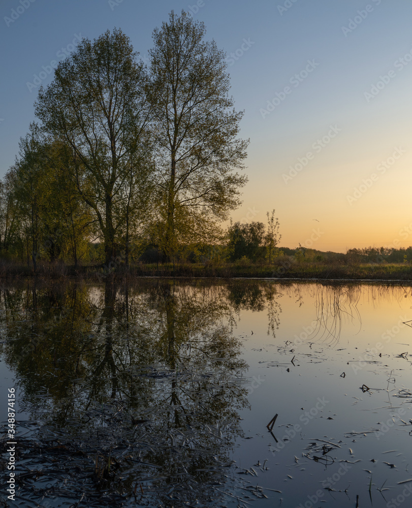 Obraz premium Dawn over the lake. Beautiful evening blue sky at sunset with flaming bright light clouds. Warm summer evening at sunset. May.
