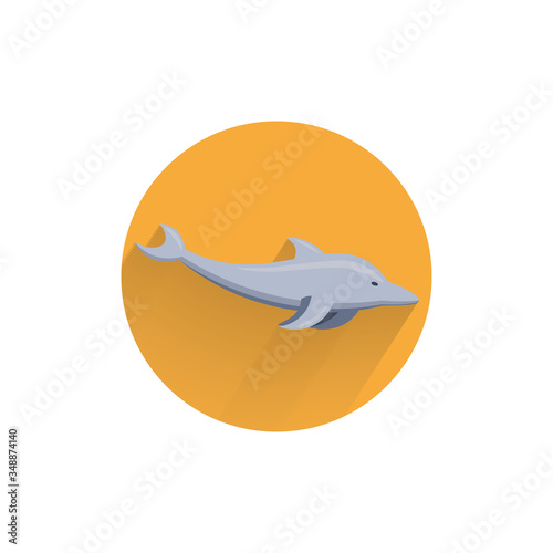 Dolphin colorful flat icon with long shadow. Dolphin flat icon