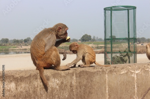 Photography The Holy City of Vrindavan, India