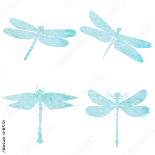 watercolor drawing silhouette dragonfly, insect, set