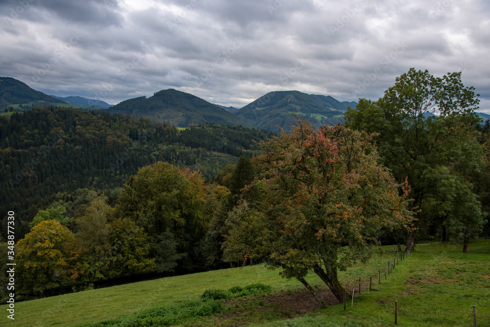 Obraz premium Blick ins Tal