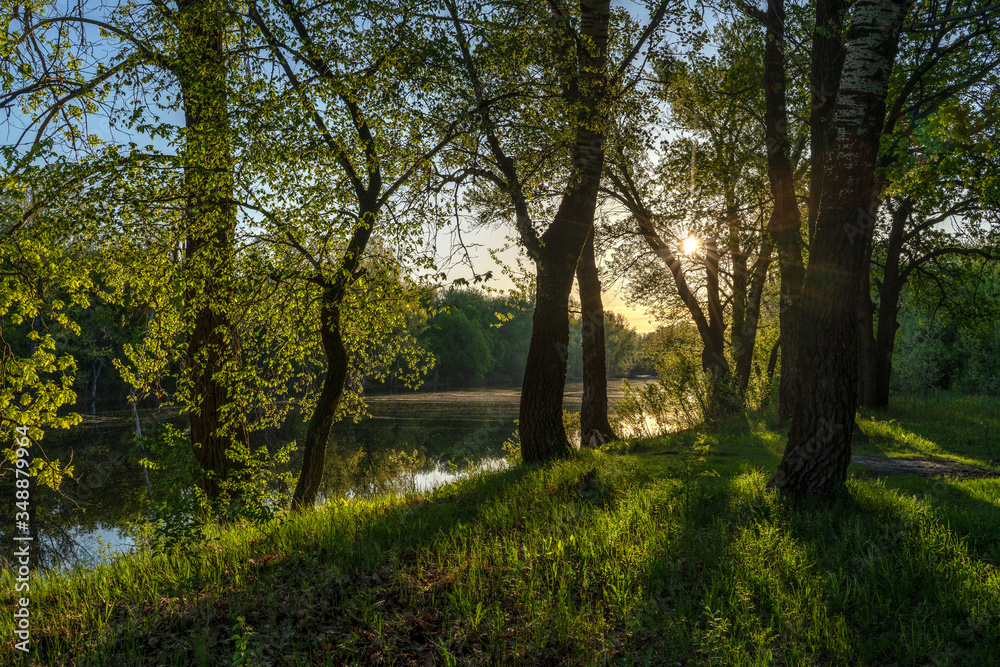 Fototapeta premium Early spring. Morning dawn over the lake in a misty, thoughtful haze. Beautiful view of the forest covered with fog early in the morning. The sun's rays of light. May.