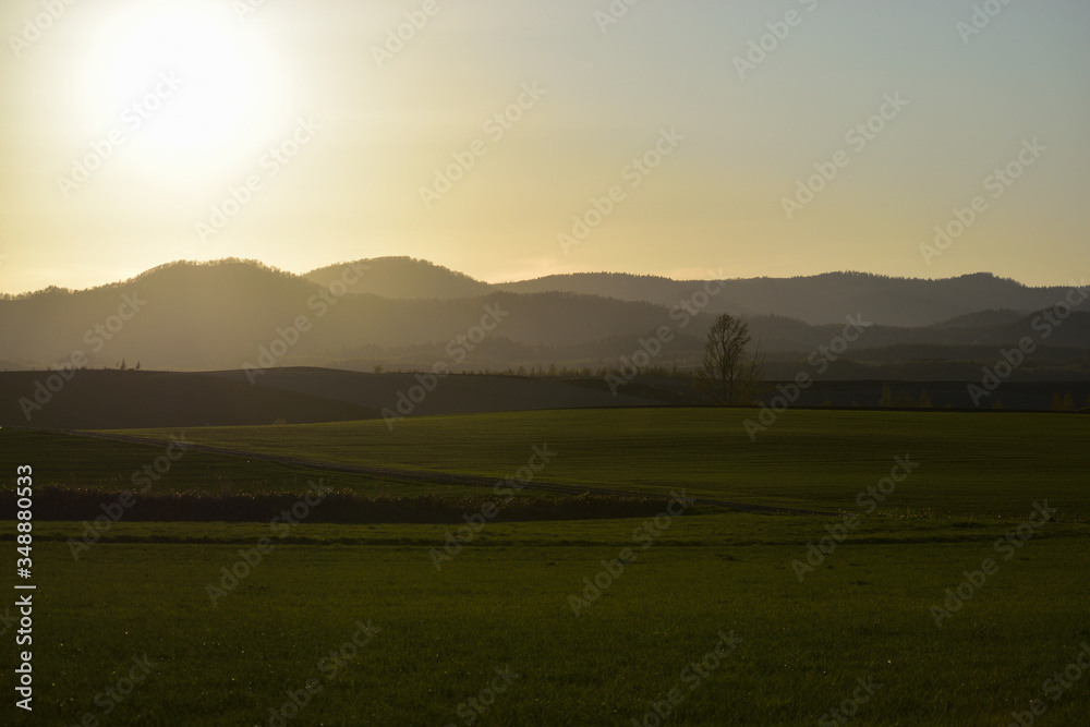 美瑛　留辺蘂の丘と夕陽