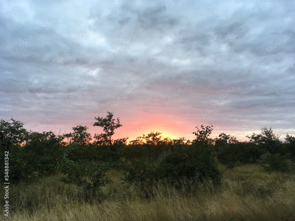 Naklejka premium bushveld sunrise