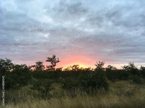 bushveld sunrise