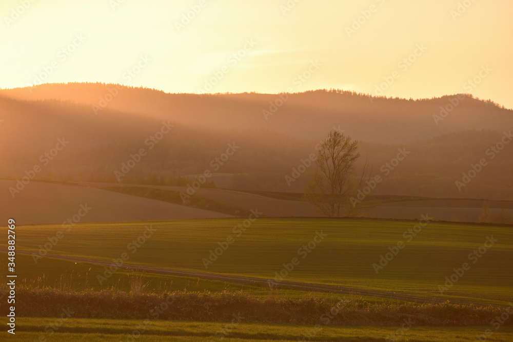 美瑛　留辺蘂の丘の夕焼け