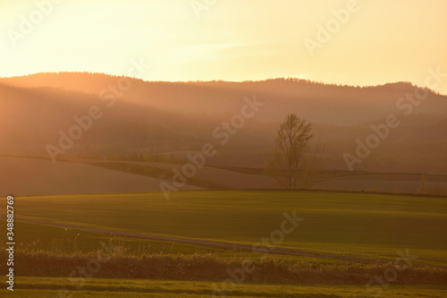 美瑛　留辺蘂の丘の夕焼け © NaS