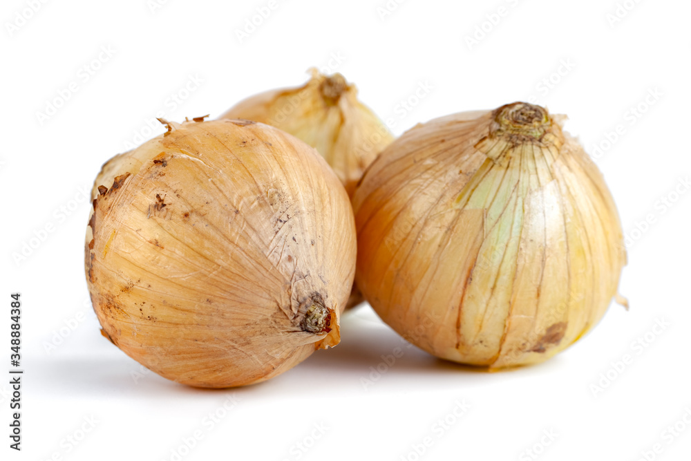 Fototapeta premium Fresh onion bulbs isolated on white background