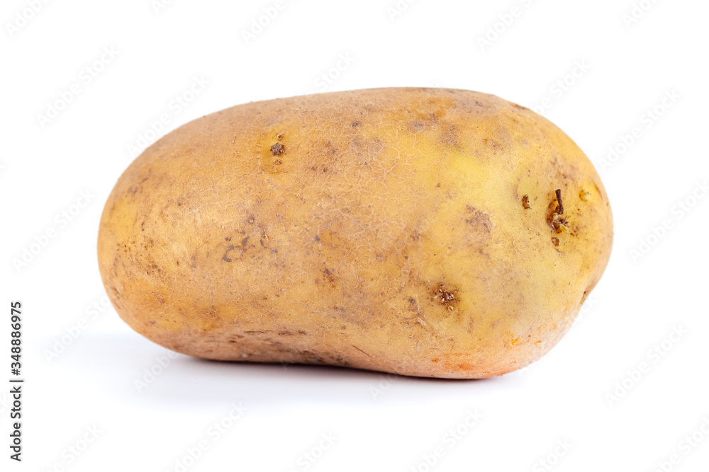 Young Fresh potatoes isolated on a white background Young Fresh potatoes isolated on a white background