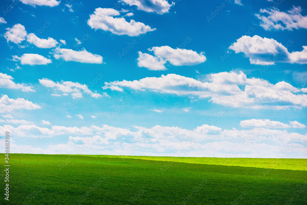 Green field and cloudy sky