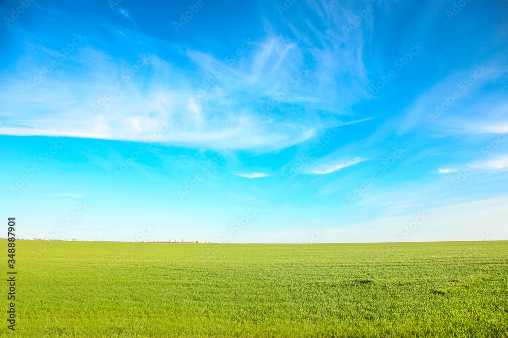 Green field against the blue sky. Green field against the blue sky.