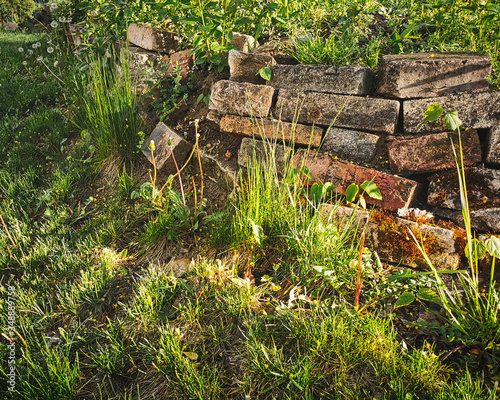 Isolated artistic warm sunrise close-up view of old ruin brick wall remains in garden as nature slowly taking back area