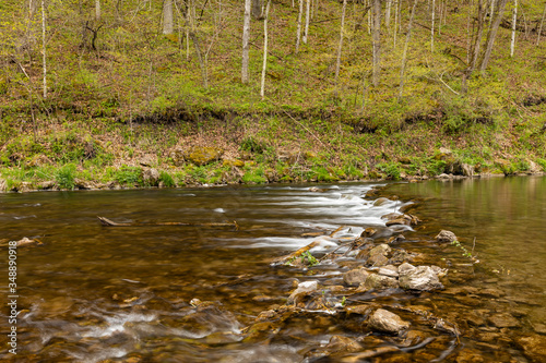 A Scenic River with A Rock Dam In The Woods In Spring