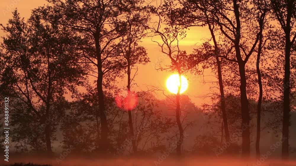 sunrise morning nature landscape, timelapse
sunrise morning nature landscape, timelapse