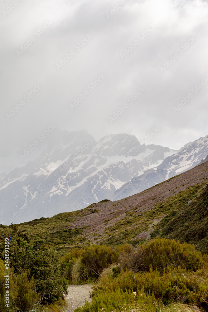 Valley in the Southern Alps. Scenic track to the lake Hooker. South Island, New Zealand Valley in the Southern Alps. Scenic track to the lake Hooker. South Island, New Zealand