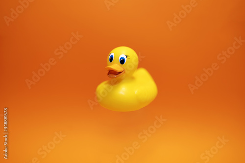 Yellow duck on the orange background