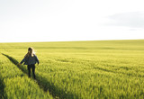 
Young blonde girl running through the green wheat field. Concept of travel, inspiration, freedom, lifestyle.