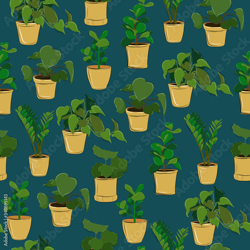Flowers in pots pattern8