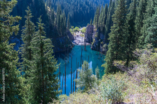 Fototapeta Naklejka Na Ścianę i Meble -  Kaindy lake - mountain lake in Kazakhstan