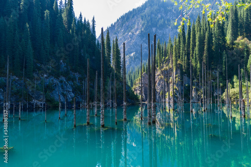 Fototapeta Naklejka Na Ścianę i Meble -  Kaindy lake - mountain lake in Kazakhstan