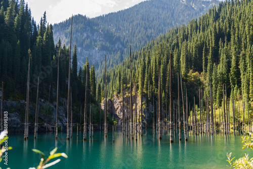 Fototapeta Naklejka Na Ścianę i Meble -  Kaindy lake - mountain lake in Kazakhstan