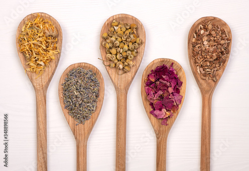 Dry healthy herbs on wooden spoons, top view on a white table