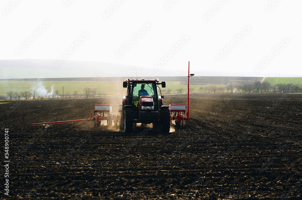 Fototapeta premium Farmer with tractor seeding sowing crops at agricultural fields in spring at sunset 